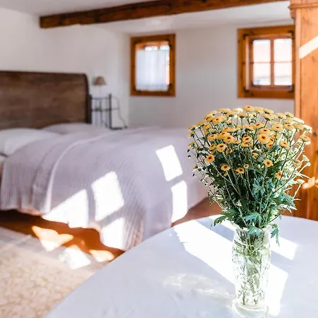 Froebel Apartamento *
